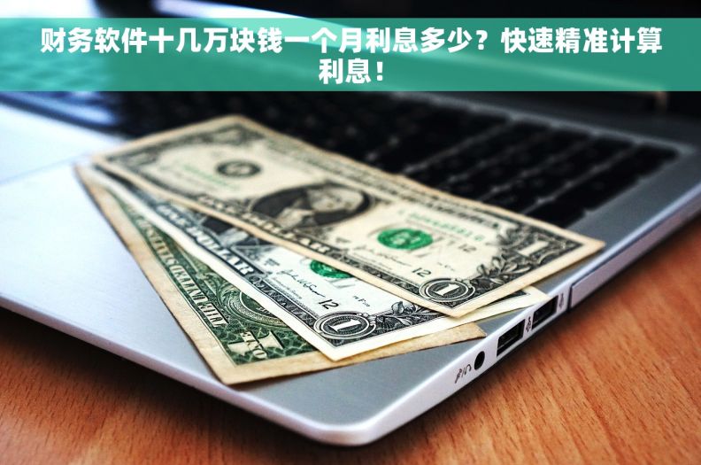 财务软件十几万块钱一个月利息多少？快速精准计算利息！