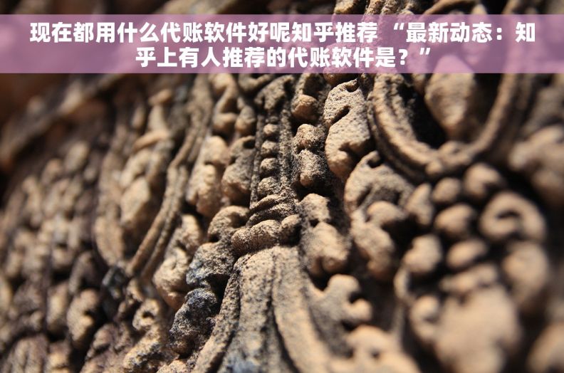现在都用什么代账软件好呢知乎推荐 “最新动态：知乎上有人推荐的代账软件是？”