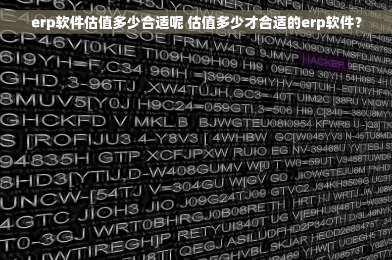 erp软件估值多少合适呢 估值多少才合适的erp软件？