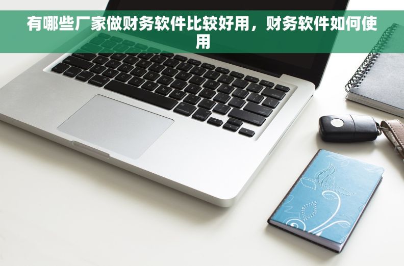 有哪些厂家做财务软件比较好用，财务软件如何使用