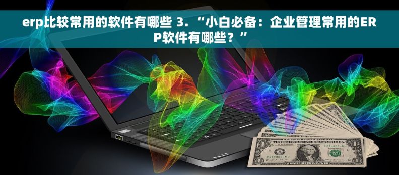 erp比较常用的软件有哪些 3. “小白必备：企业管理常用的ERP软件有哪些？”