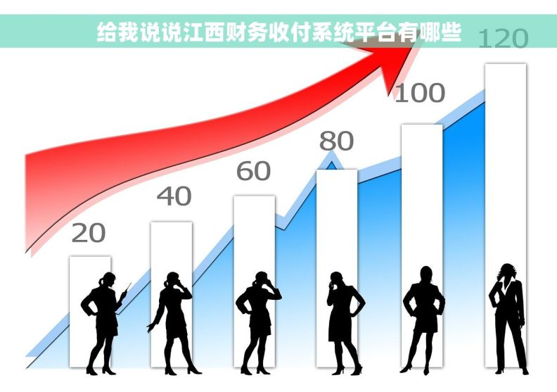 给我说说江西财务收付系统平台有哪些