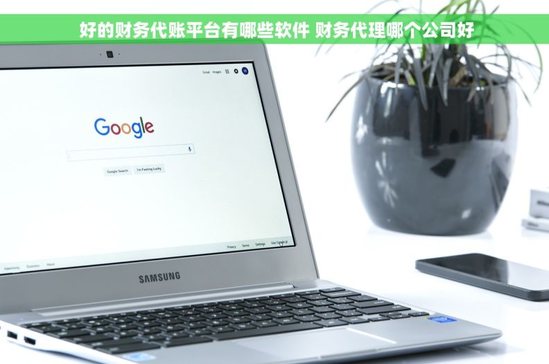  好的财务代账平台有哪些软件 财务代理哪个公司好