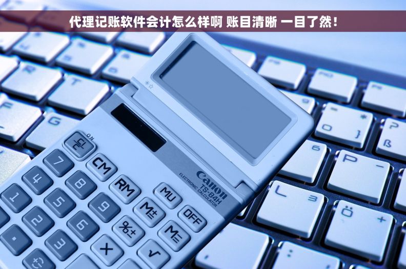 代理记账软件会计怎么样啊 账目清晰 一目了然！