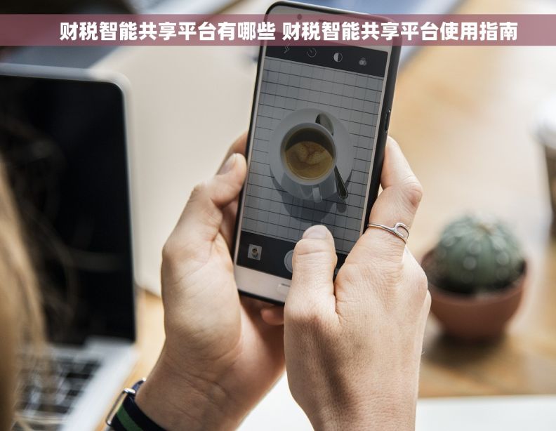     财税智能共享平台有哪些 财税智能共享平台使用指南