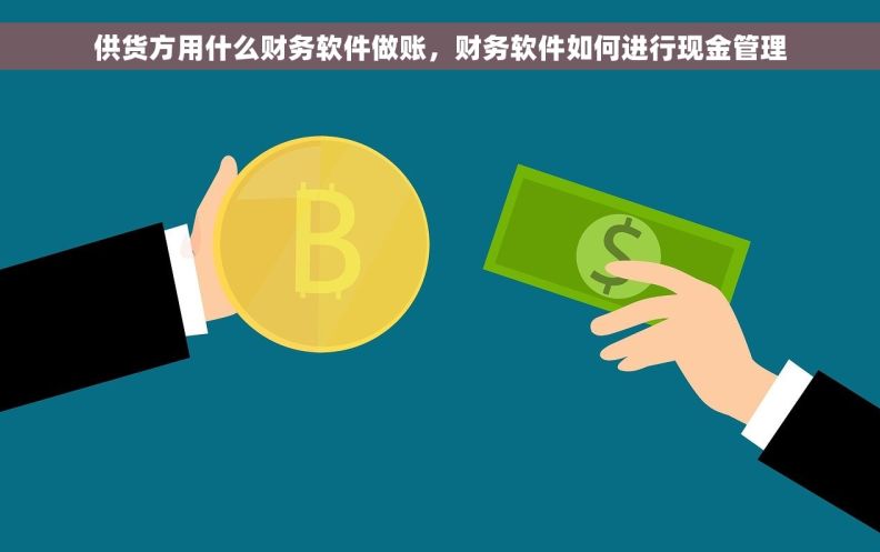 供货方用什么财务软件做账，财务软件如何进行现金管理