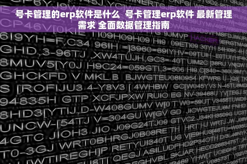 号卡管理的erp软件是什么  号卡管理erp软件 最新管理需求 全面数据管理指南