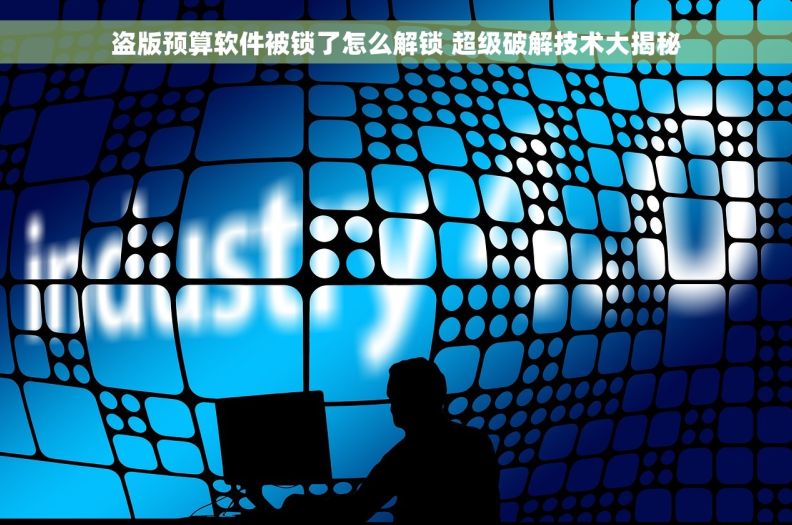 盗版预算软件被锁了怎么解锁 超级破解技术大揭秘