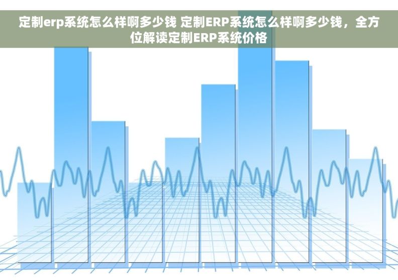 定制erp系统怎么样啊多少钱 定制ERP系统怎么样啊多少钱，全方位解读定制ERP系统价格