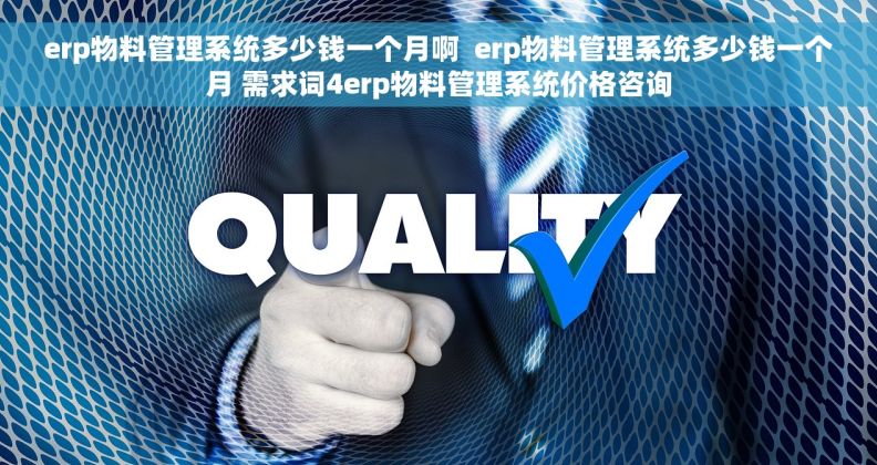 erp物料管理系统多少钱一个月啊  erp物料管理系统多少钱一个月 需求词4erp物料管理系统价格咨询