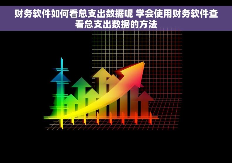 财务软件如何看总支出数据呢 学会使用财务软件查看总支出数据的方法
