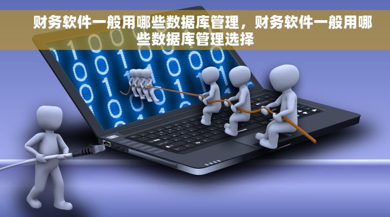     财务软件一般用哪些数据库管理，财务软件一般用哪些数据库管理选择