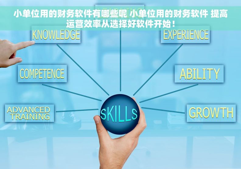 小单位用的财务软件有哪些呢 		小单位用的财务软件 提高运营效率从选择好软件开始！
