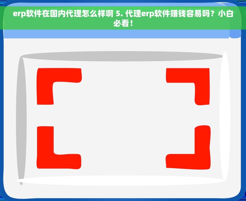 erp软件在国内代理怎么样啊 5. 代理erp软件赚钱容易吗？小白必看！