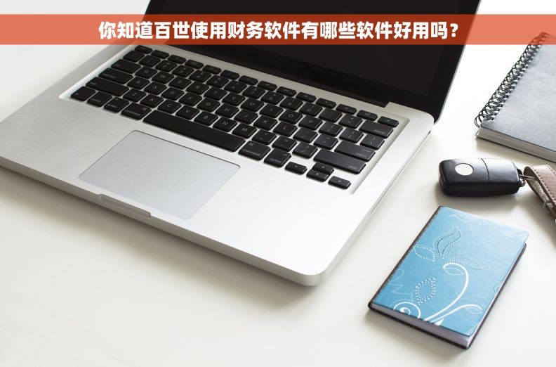 你知道百世使用财务软件有哪些软件好用吗？