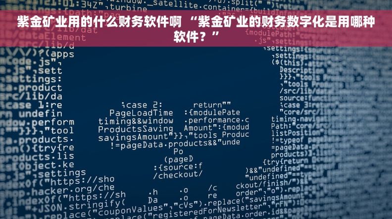 紫金矿业用的什么财务软件啊 “紫金矿业的财务数字化是用哪种软件？”