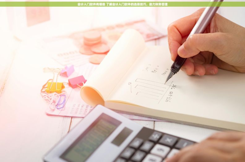 会计入门软件有哪些 了解会计入门软件的选择技巧，助力财务管理