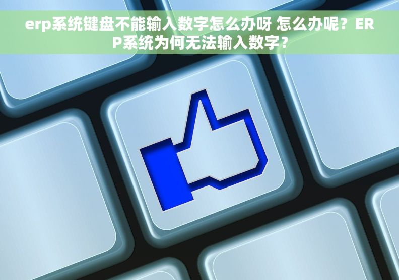 erp系统键盘不能输入数字怎么办呀 怎么办呢？ERP系统为何无法输入数字？