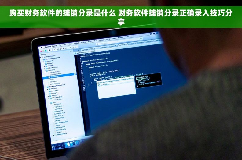 购买财务软件的摊销分录是什么 财务软件摊销分录正确录入技巧分享