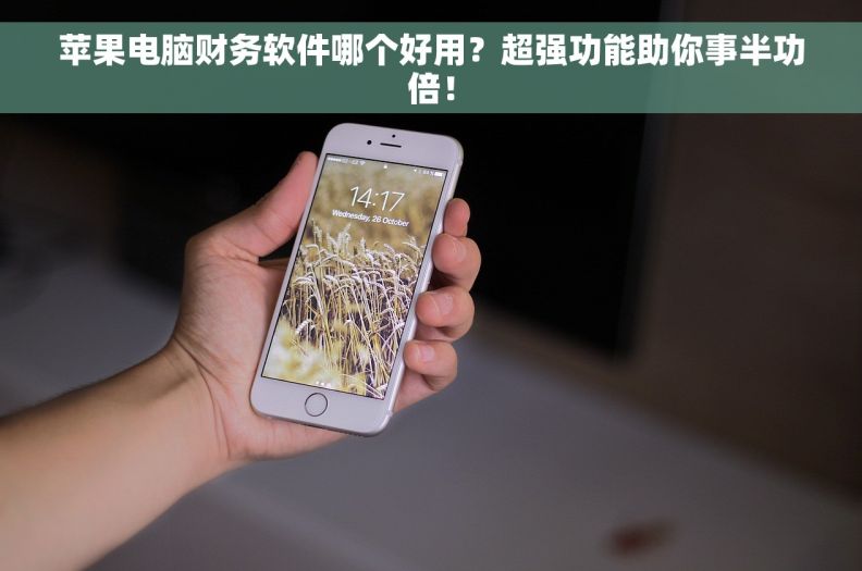 苹果电脑财务软件哪个好用？超强功能助你事半功倍！