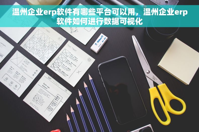 温州企业erp软件有哪些平台可以用，温州企业erp软件如何进行数据可视化