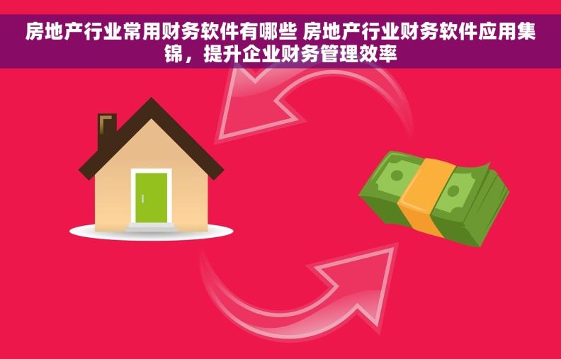 房地产行业常用财务软件有哪些 房地产行业财务软件应用集锦，提升企业财务管理效率