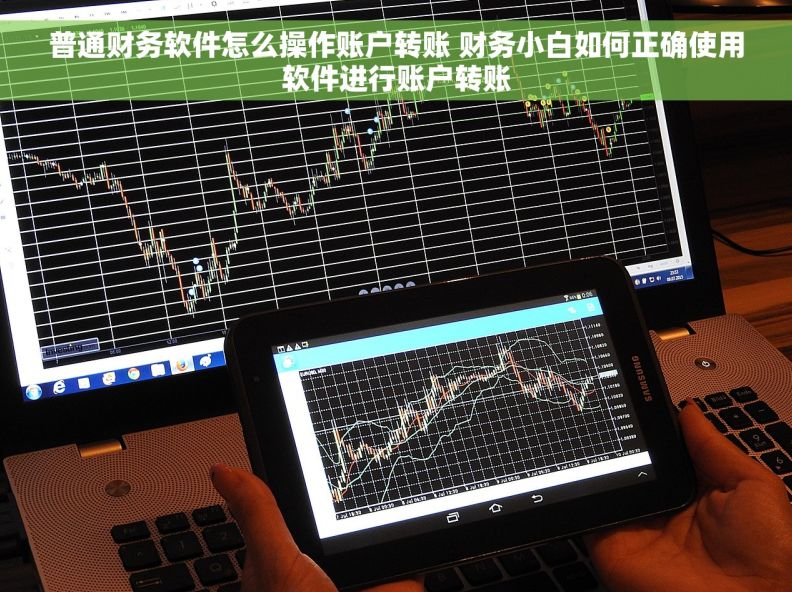 普通财务软件怎么操作账户转账 财务小白如何正确使用软件进行账户转账