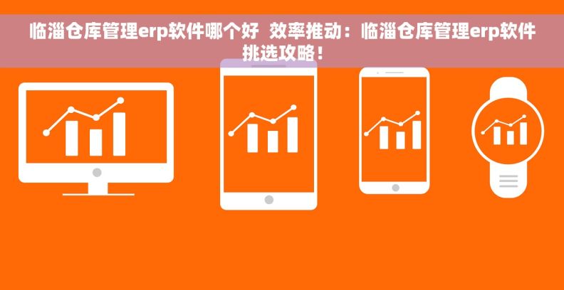临淄仓库管理erp软件哪个好  效率推动：临淄仓库管理erp软件挑选攻略！
