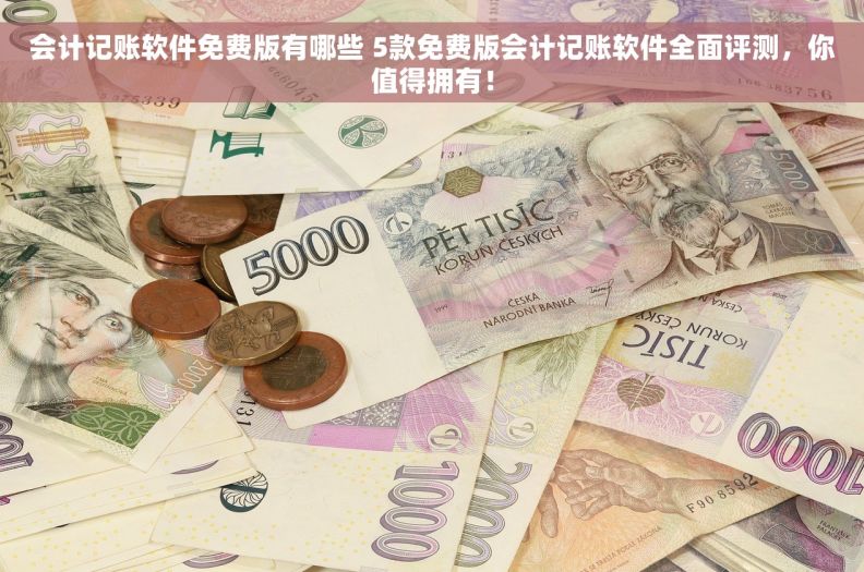 会计记账软件免费版有哪些 5款免费版会计记账软件全面评测，你值得拥有！