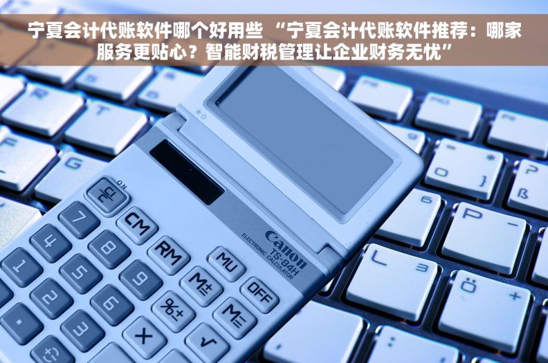 宁夏会计代账软件哪个好用些 “宁夏会计代账软件推荐：哪家服务更贴心？智能财税管理让企业财务无忧”