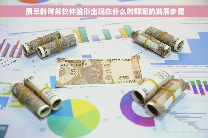  最早的财务软件雏形出现在什么时期呢的发展步骤