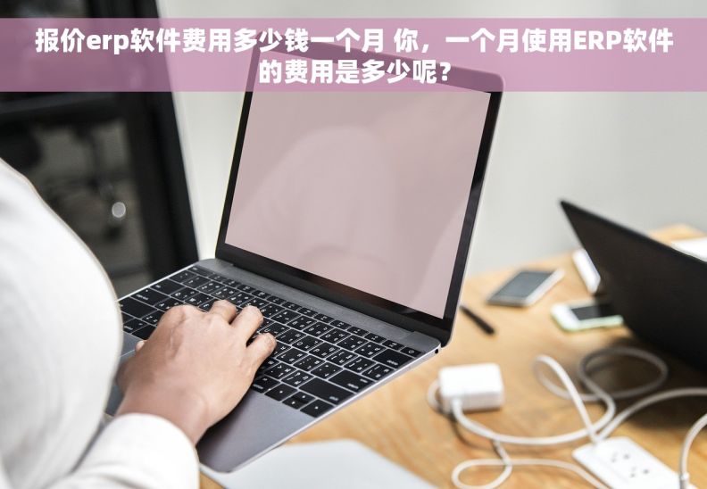 报价erp软件费用多少钱一个月 你，一个月使用ERP软件的费用是多少呢？