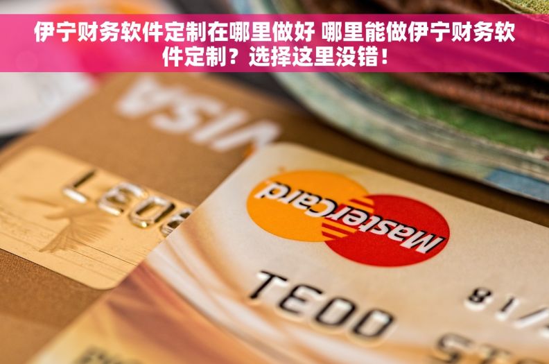 伊宁财务软件定制在哪里做好 哪里能做伊宁财务软件定制？选择这里没错！