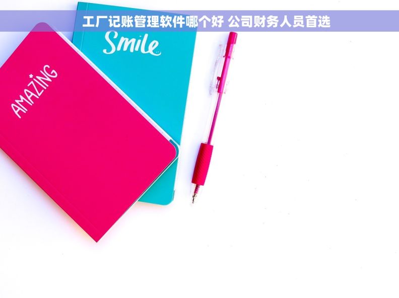     工厂记账管理软件哪个好 公司财务人员首选