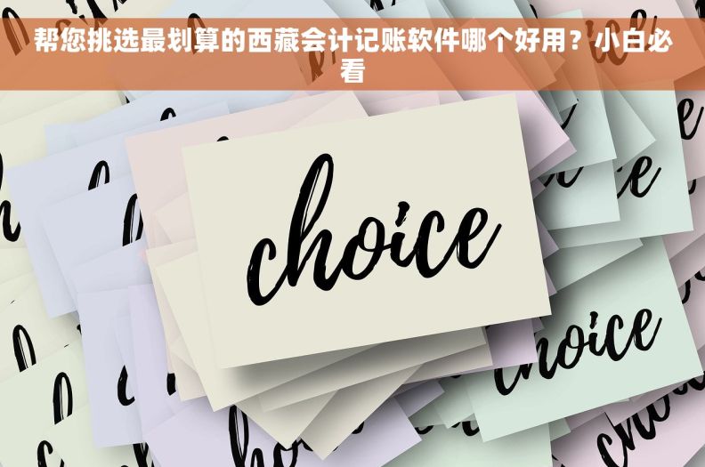帮您挑选最划算的西藏会计记账软件哪个好用？小白必看