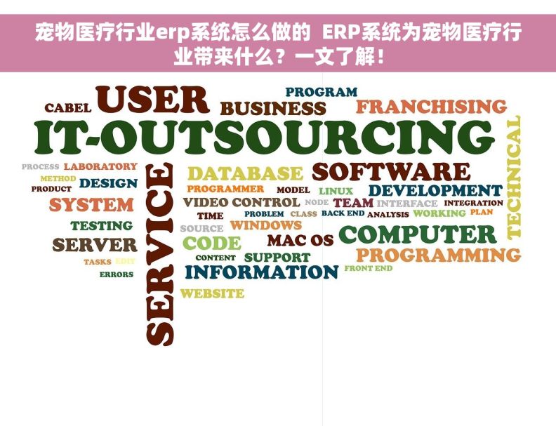 宠物医疗行业erp系统怎么做的  ERP系统为宠物医疗行业带来什么？一文了解！