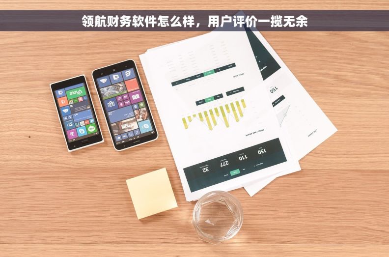 领航财务软件怎么样，用户评价一揽无余