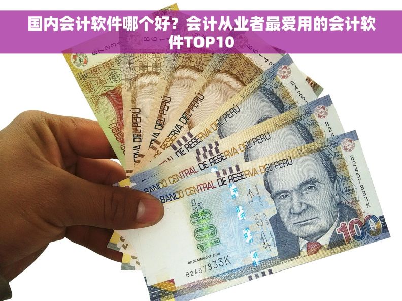 国内会计软件哪个好？会计从业者最爱用的会计软件TOP10