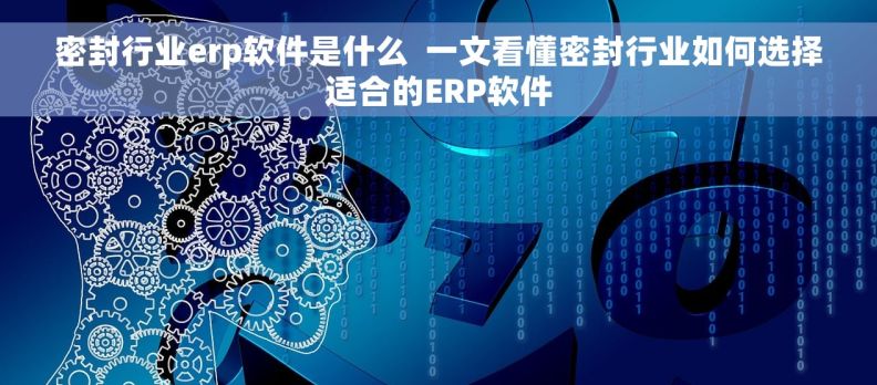 密封行业erp软件是什么  一文看懂密封行业如何选择适合的ERP软件