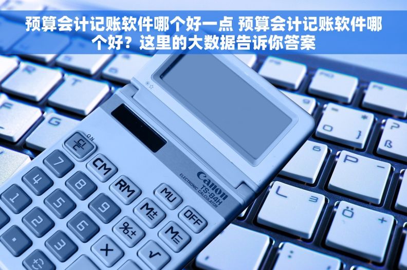 预算会计记账软件哪个好一点 预算会计记账软件哪个好？这里的大数据告诉你答案