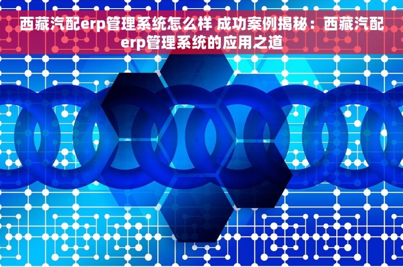 西藏汽配erp管理系统怎么样 成功案例揭秘：西藏汽配erp管理系统的应用之道