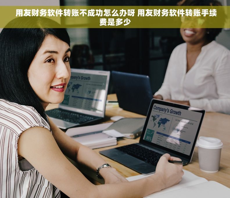  用友财务软件转账不成功怎么办呀 用友财务软件转账手续费是多少