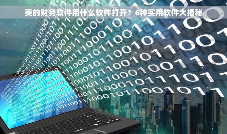 美的财务软件用什么软件打开？6种实用软件大揭秘