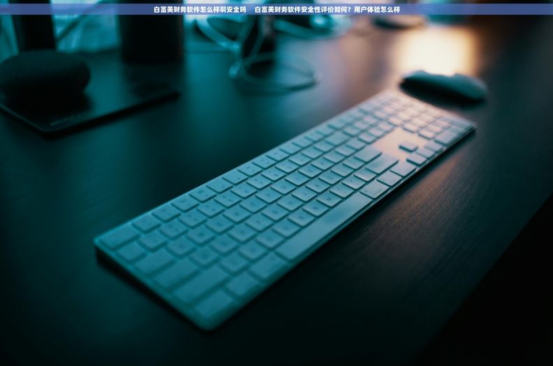 白富美财务软件怎么样啊安全吗     白富美财务软件安全性评价如何？用户体验怎么样