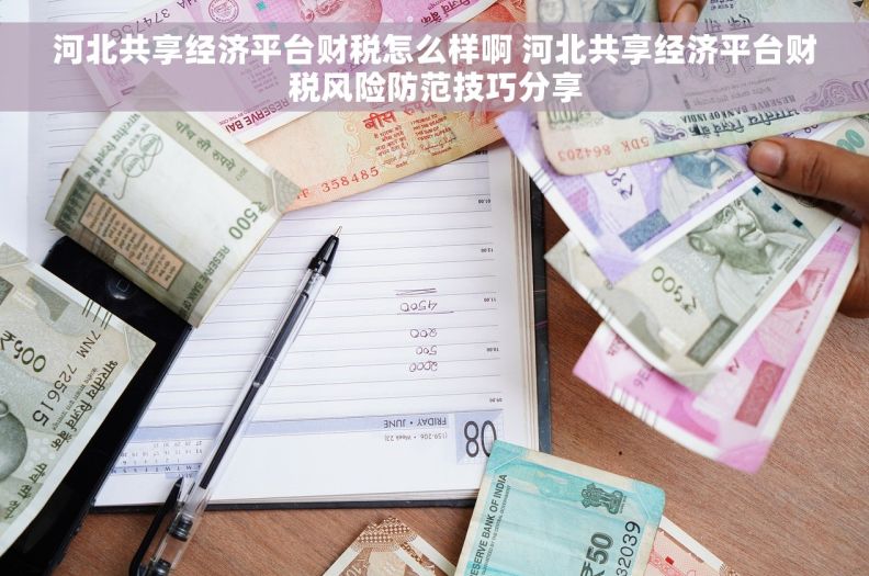 河北共享经济平台财税怎么样啊 河北共享经济平台财税风险防范技巧分享