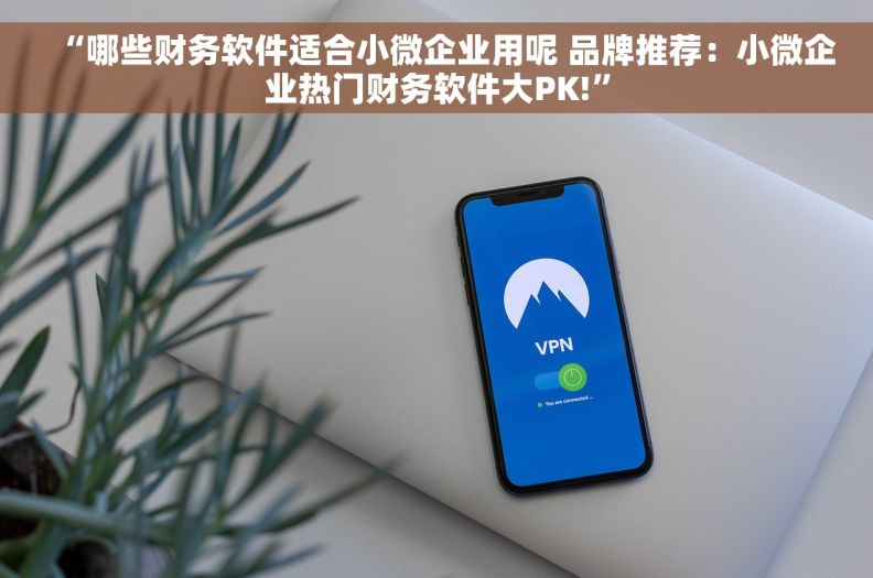 “哪些财务软件适合小微企业用呢 品牌推荐：小微企业热门财务软件大PK!”