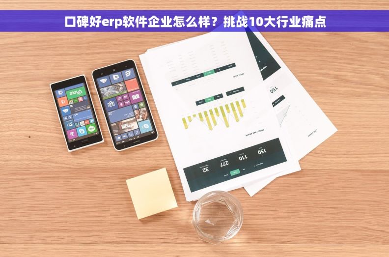 口碑好erp软件企业怎么样？挑战10大行业痛点