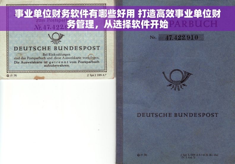 事业单位财务软件有哪些好用 打造高效事业单位财务管理，从选择软件开始