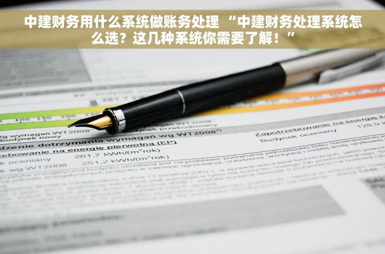 中建财务用什么系统做账务处理 “中建财务处理系统怎么选？这几种系统你需要了解！”