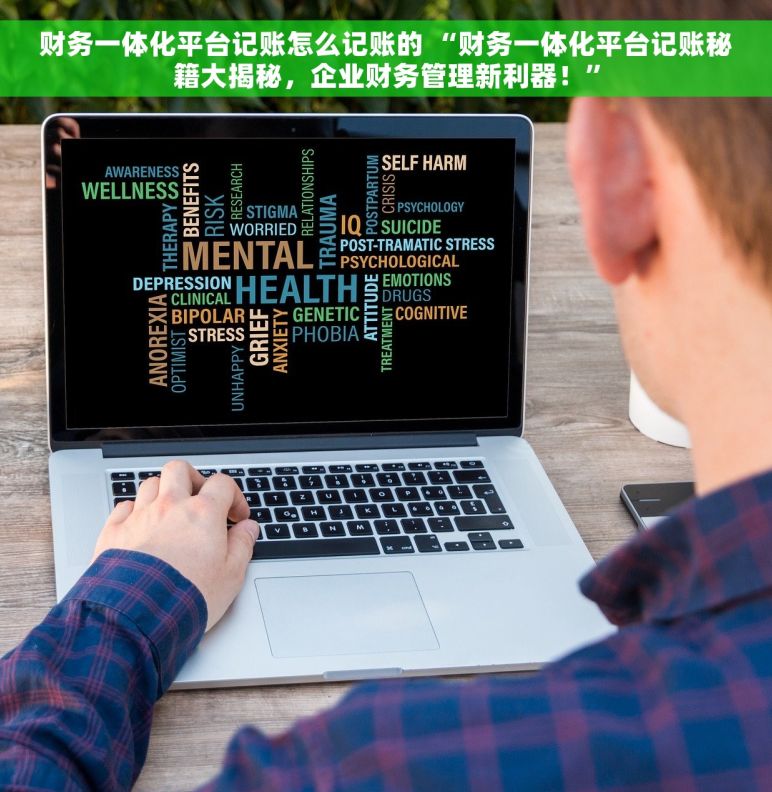 财务一体化平台记账怎么记账的 “财务一体化平台记账秘籍大揭秘，企业财务管理新利器！”